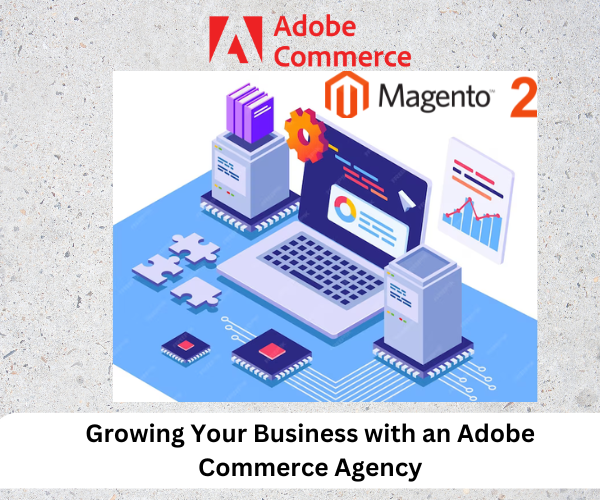 Adobe commerce development