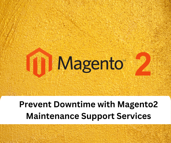 Magento2 Maint Support