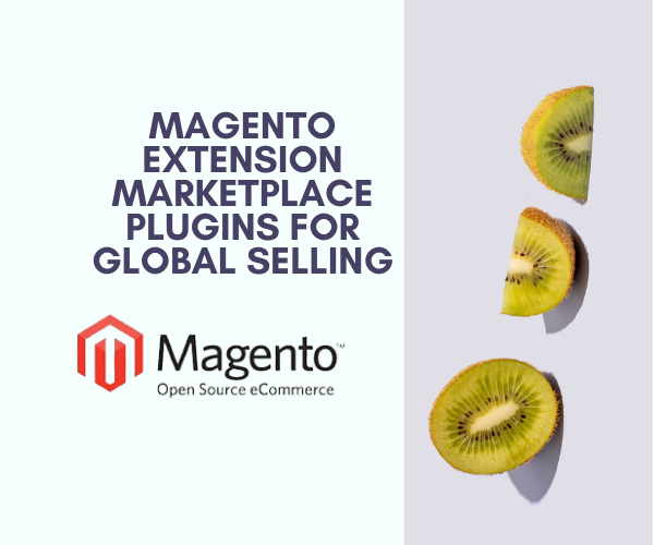 Magento Extension Marketplace Plugins For Global Selling