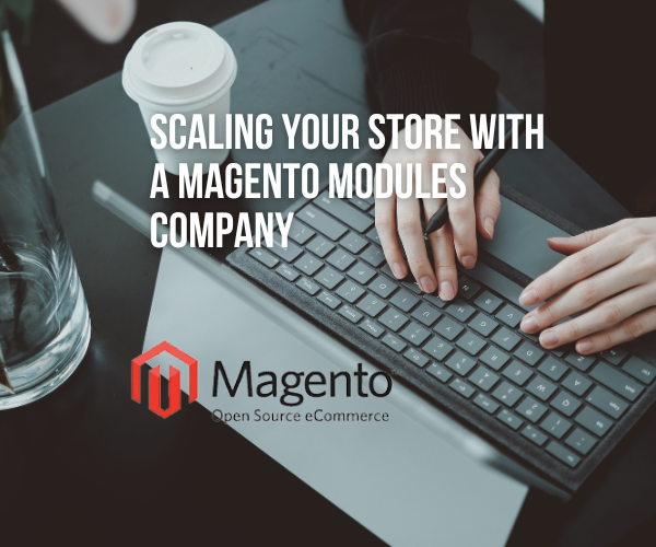 Scaling Your Store with a Magento Modules Company