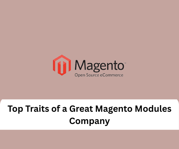 Top Traits of a Great Magento Modules Company
