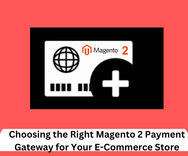 Magento2 Payment Gateway